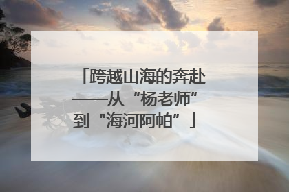 跨越山海的奔赴——从“杨老师”到“海河阿帕”