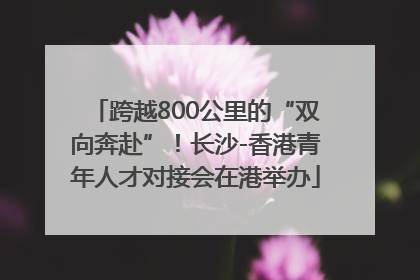 跨越800公里的“双向奔赴”！长沙-香港青年人才对接会在港举办