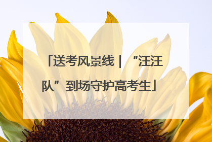 送考风景线｜“汪汪队”到场守护高考生