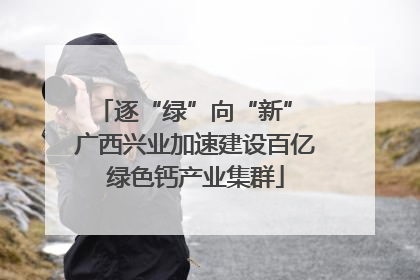逐“绿”向“新” 广西兴业加速建设百亿绿色钙产业集群
