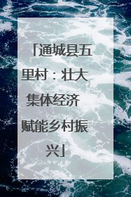 通城县五里村：壮大集体经济 赋能乡村振兴
