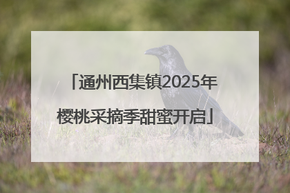 通州西集镇2025年樱桃采摘季甜蜜开启