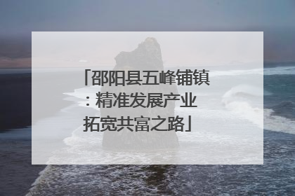 邵阳县五峰铺镇：精准发展产业 拓宽共富之路