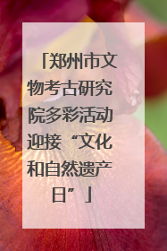 郑州市文物考古研究院多彩活动迎接“文化和自然遗产日”