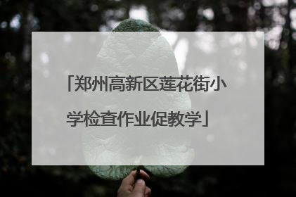 郑州高新区莲花街小学检查作业促教学