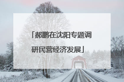 郝鹏在沈阳专题调研民营经济发展