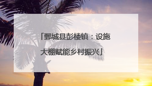 鄄城县彭楼镇：设施大棚赋能乡村振兴