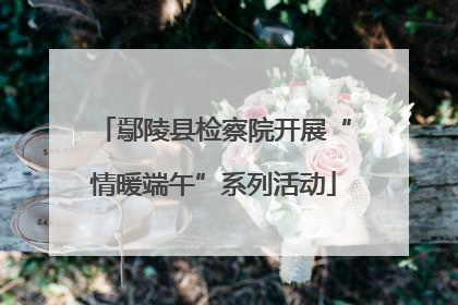 鄢陵县检察院开展“情暖端午”系列活动