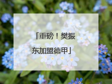 重磅！樊振东加盟德甲