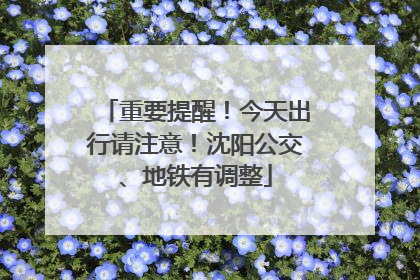 重要提醒！今天出行请注意！沈阳公交、地铁有调整