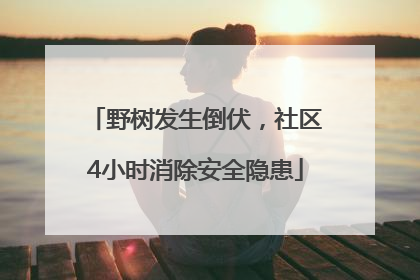 野树发生倒伏，社区4小时消除安全隐患
