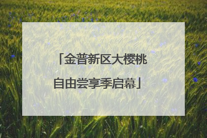 金普新区大樱桃自由尝享季启幕
