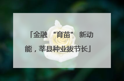 金融 “育苗” 新动能，莘县种业拔节长