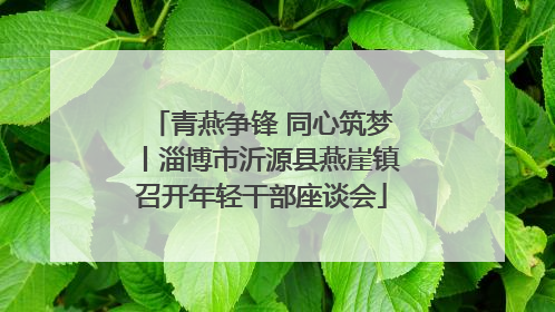 青燕争锋 同心筑梦丨淄博市沂源县燕崖镇召开年轻干部座谈会