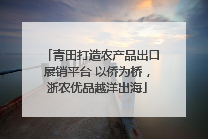 青田打造农产品出口展销平台 以侨为桥，浙农优品越洋出海
