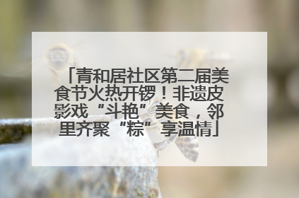 青和居社区第二届美食节火热开锣！非遗皮影戏“斗艳”美食，邻里齐聚“粽”享温情
