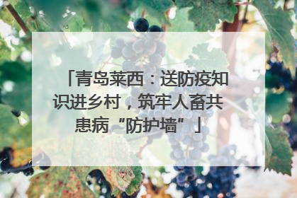 青岛莱西：送防疫知识进乡村，筑牢人畜共患病“防护墙”