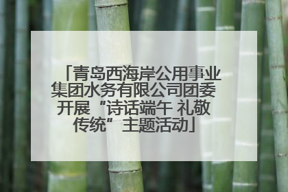 青岛西海岸公用事业集团水务有限公司团委开展“诗话端午 礼敬传统”主题活动