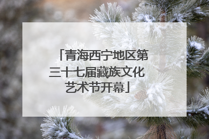 青海西宁地区第三十七届藏族文化艺术节开幕