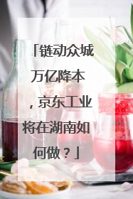 链动众城 万亿降本，京东工业将在湖南如何做？