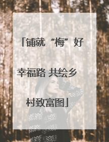 铺就“梅”好幸福路 共绘乡村致富图