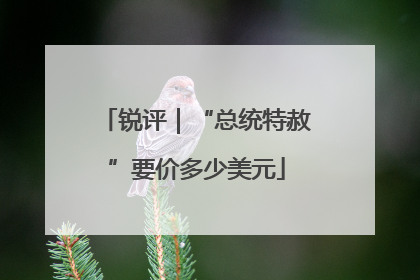 锐评｜“总统特赦”要价多少美元