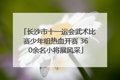 长沙市十一运会武术比赛少年组热血开赛 360余名小将展风采