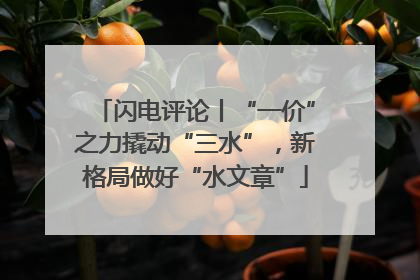 闪电评论丨“一价”之力撬动“三水”，新格局做好“水文章”