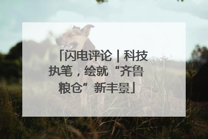 闪电评论｜科技执笔，绘就“齐鲁粮仓”新丰景