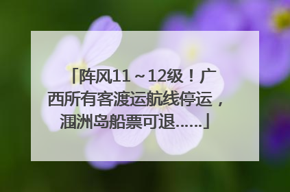 阵风11～12级！广西所有客渡运航线停运，涠洲岛船票可退……