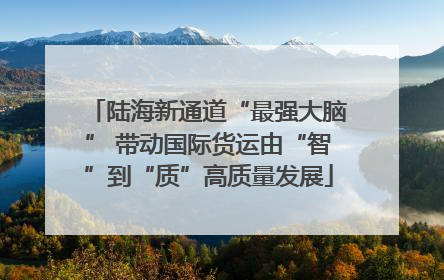 陆海新通道“最强大脑” 带动国际货运由“智”到“质”高质量发展