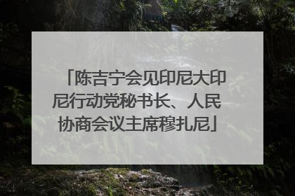 陈吉宁会见印尼大印尼行动党秘书长、人民协商会议主席穆扎尼