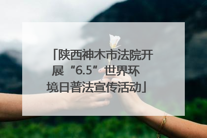 陕西神木市法院开展“6.5”世界环境日普法宣传活动
