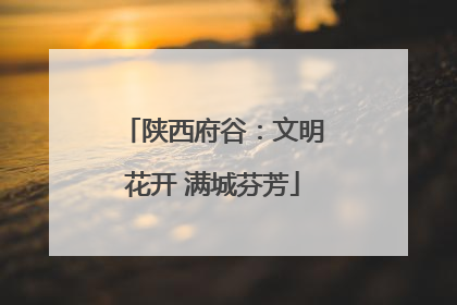 陕西府谷：文明花开 满城芬芳