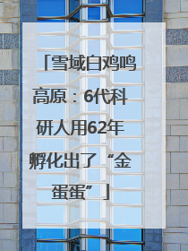 雪域白鸡鸣高原：6代科研人用62年孵化出了“金蛋蛋”