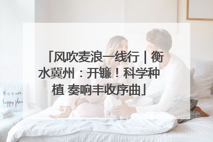 风吹麦浪一线行｜衡水冀州：开镰！科学种植 奏响丰收序曲