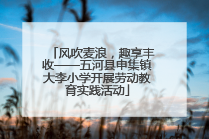 风吹麦浪，趣享丰收——五河县申集镇大李小学开展劳动教育实践活动