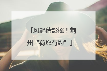风起倩影摇！荆州“荷您有约”