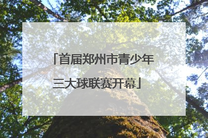 首届郑州市青少年三大球联赛开幕
