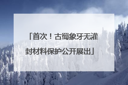 首次！古蜀象牙无灌封材料保护公开展出