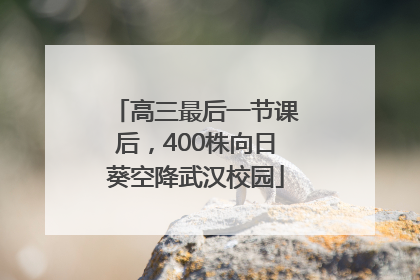 高三最后一节课后，400株向日葵空降武汉校园
