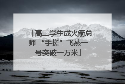 高二学生成火箭总师 “手搓”飞燕一号突破一万米