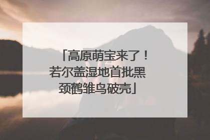 高原萌宝来了！若尔盖湿地首批黑颈鹤雏鸟破壳