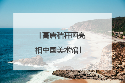 高唐秸秆画亮相中国美术馆