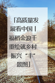 高质量发展看中国丨福稻金浪千重绘就乡村振兴“丰”景图