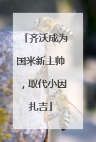齐沃成为国米新主帅，取代小因扎吉