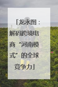 龙永图：解码跨境电商“河南模式”的全球竞争力