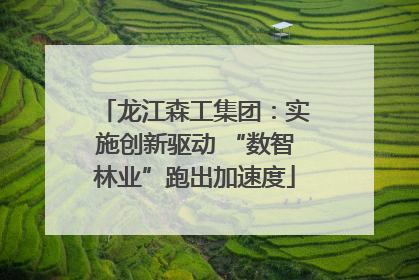 龙江森工集团：实施创新驱动 “数智林业”跑出加速度