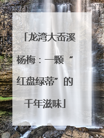 龙湾大岙溪杨梅：一颗“红盘绿蒂”的千年滋味
