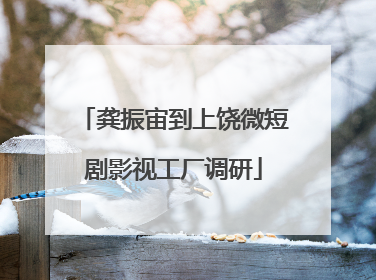龚振宙到上饶微短剧影视工厂调研
